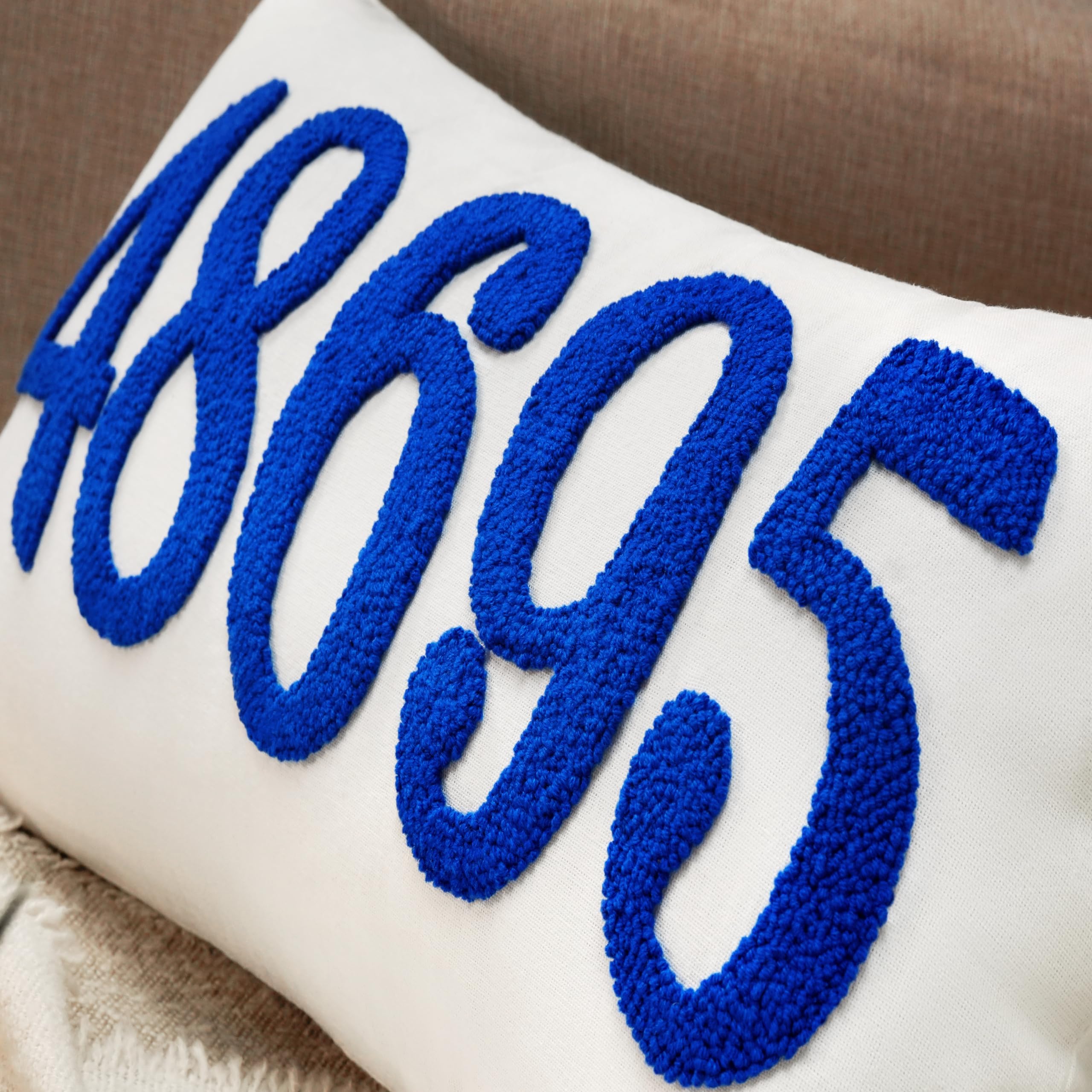 Amazon.com: mia'spillow lab Personalized Zip Code Pillow