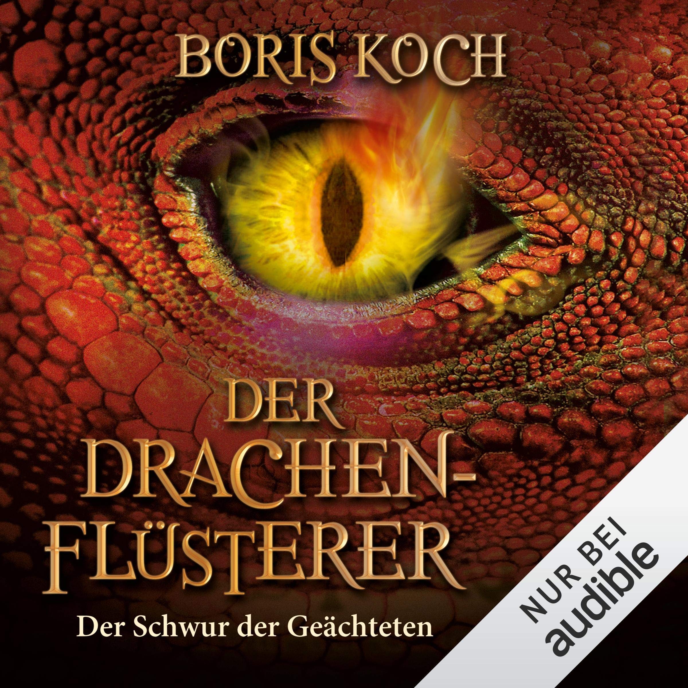 Cover art for Der Schwur der Geächteten