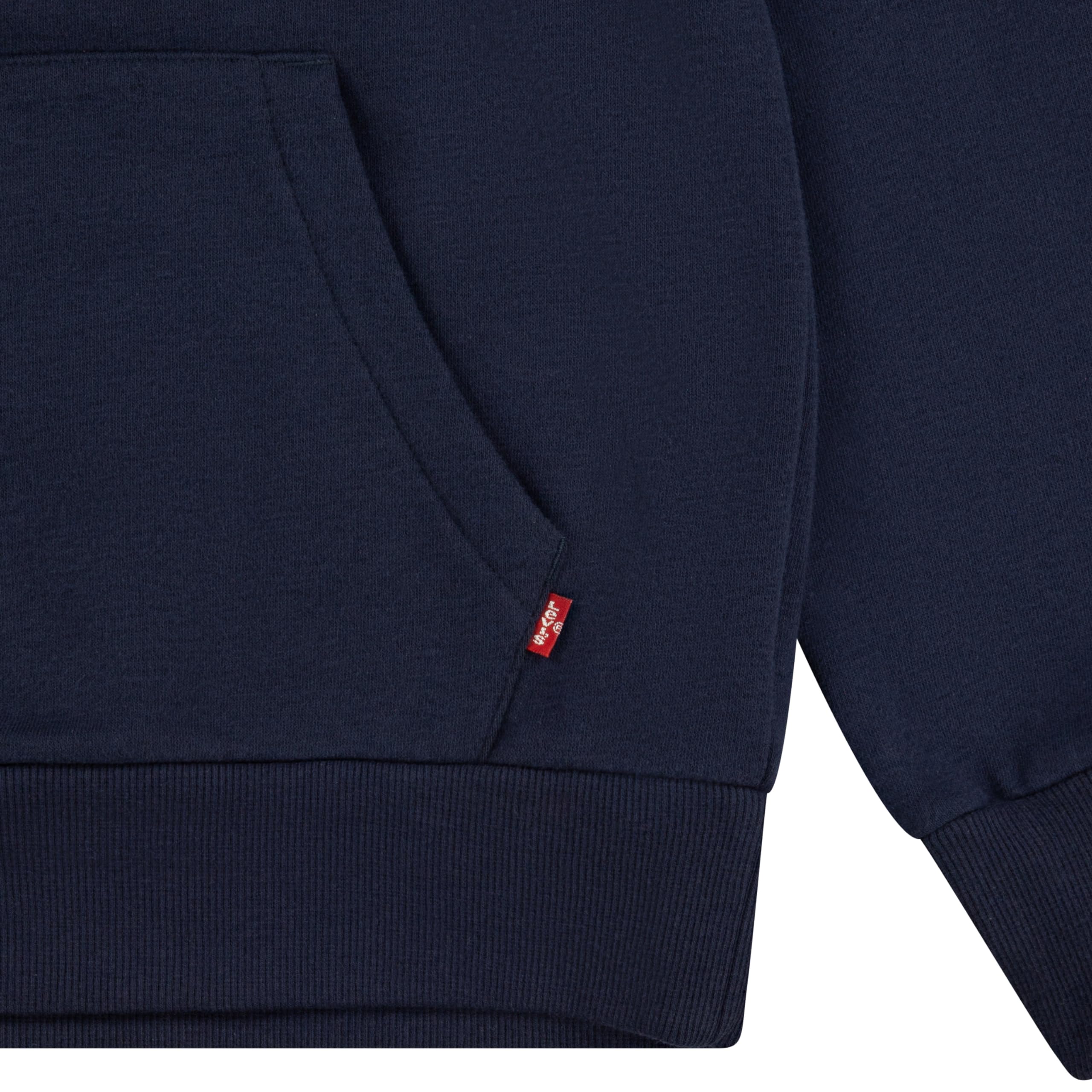 Levi's Bluza Chłopcy Lvb Batwing Screenprint Hoodie (1 w zestawie)