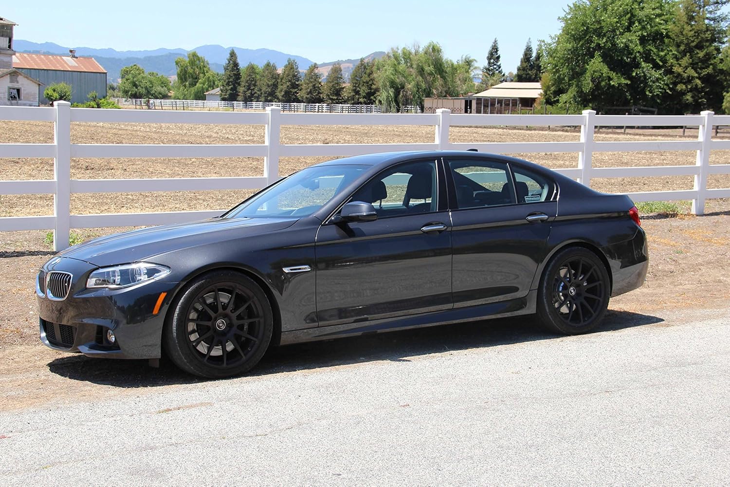 Dinan D100-0902 Performance Spring set - Compatible with 2011-2016 BMW 550i