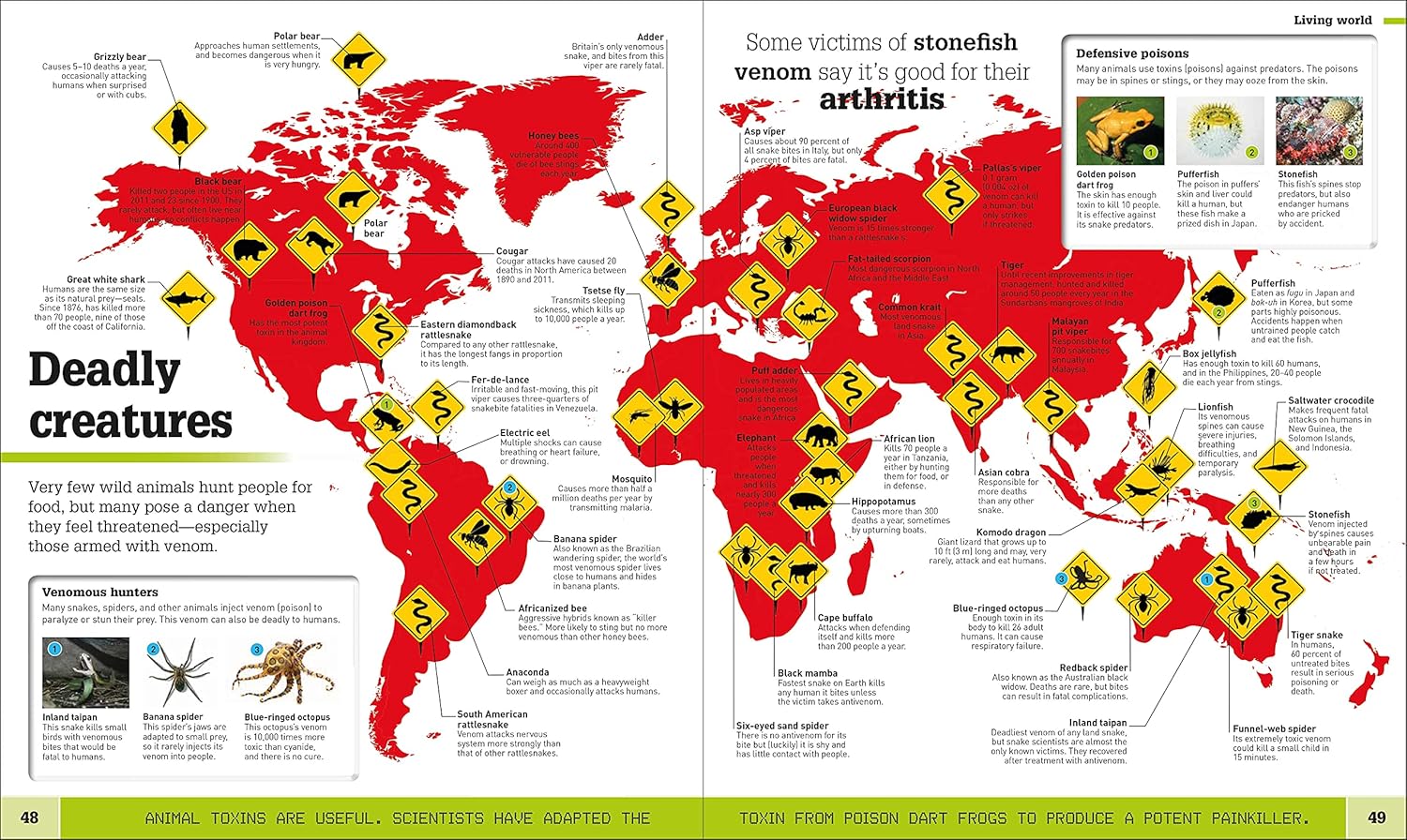 Where on Earth?: Geography As You've Never Seen It Before (DK Where on Earth? Atlases) - Image 4