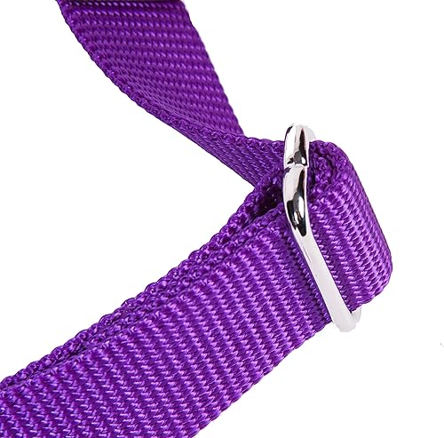 Vista 99 de GoGo Pet Products GoGo - Collar de perro Martingala de 3/8 pulgadas, talla XS, color naranja