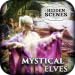 Hidden Scenes - Mystical Elves