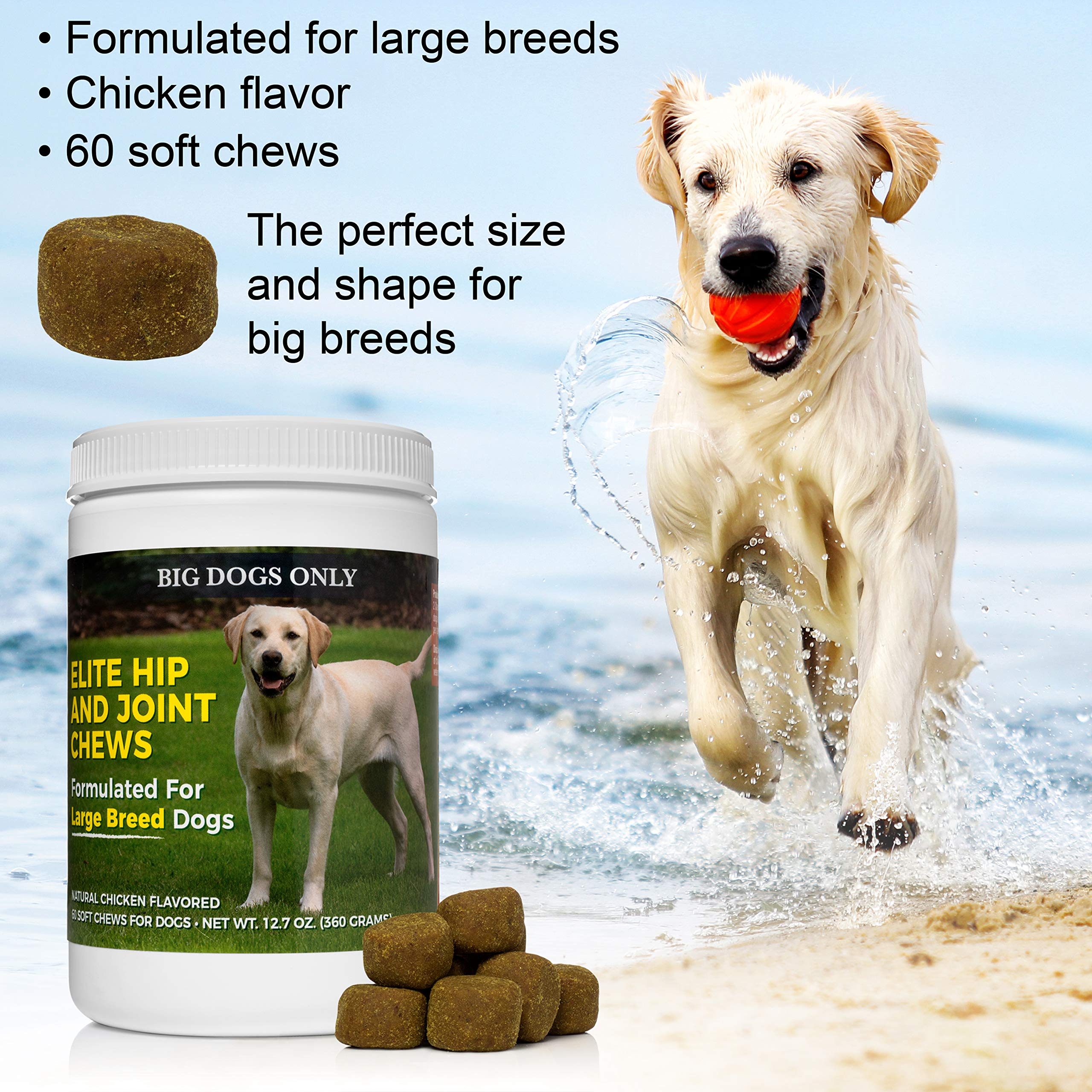 Big Joint Med For Dogs
