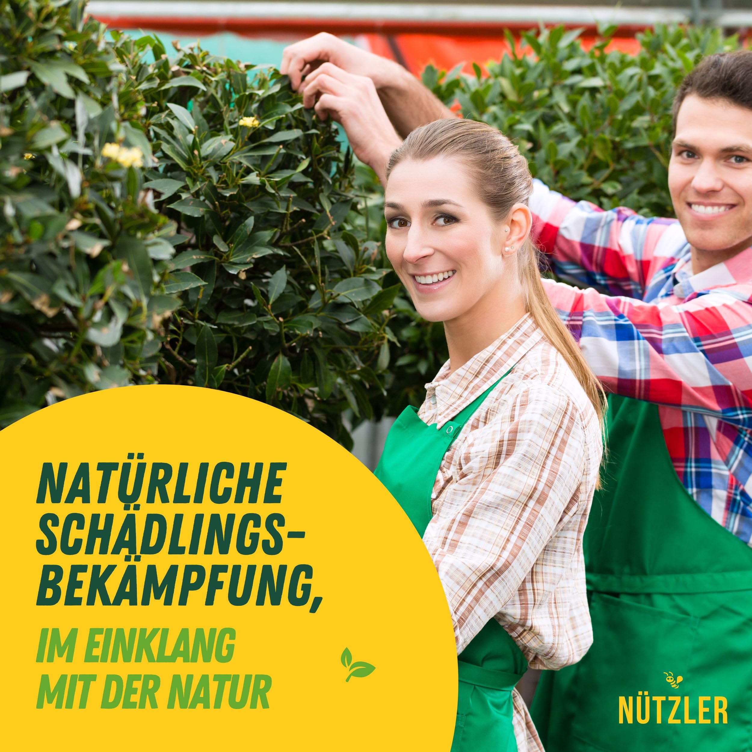 Lagererzwespen - 40 Nützlinge - Gegen Brotkäfer, Kornkäfer, Maiskäfer, Reiskäfer, Getreidekapuziner uvm - Wirkt NICHT gegen Speckkäfer & Reismehlkäfer - Zwei Lagererzwespen Arten (3 Stück)