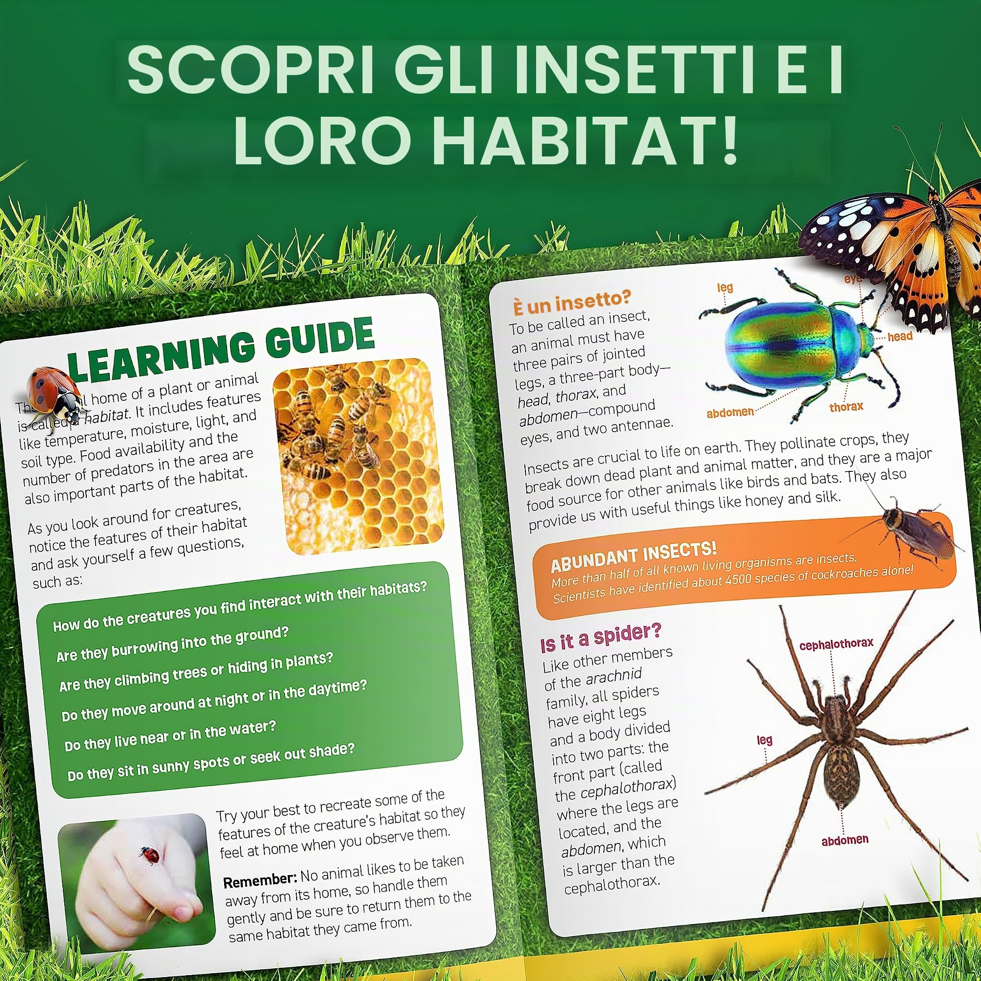NATIONAL GEOGRAPHIC Kit Cattura Insetti per Bambini - Habitat Con Visualizzatore Ingrandito, Raccoglitore, Pinzette e Guida All'apprendimento - Giocattoli Educativi