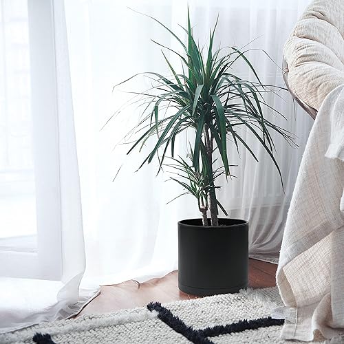 Miniatura 5 de D'vine Dev Macetas de plástico de 10 pulgadas para maceta con orificio de drenaje y platillos sin costuras, color negro, 74-O-M-2