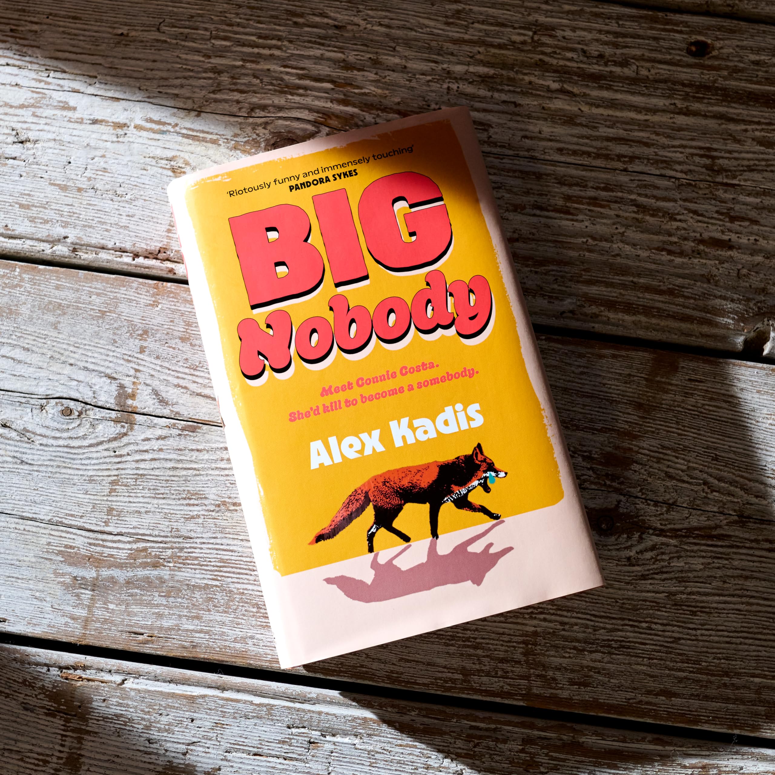 Big Nobody: The darkly funny new coming-of-age novel for fans of Bella Mackie and Derry Girls