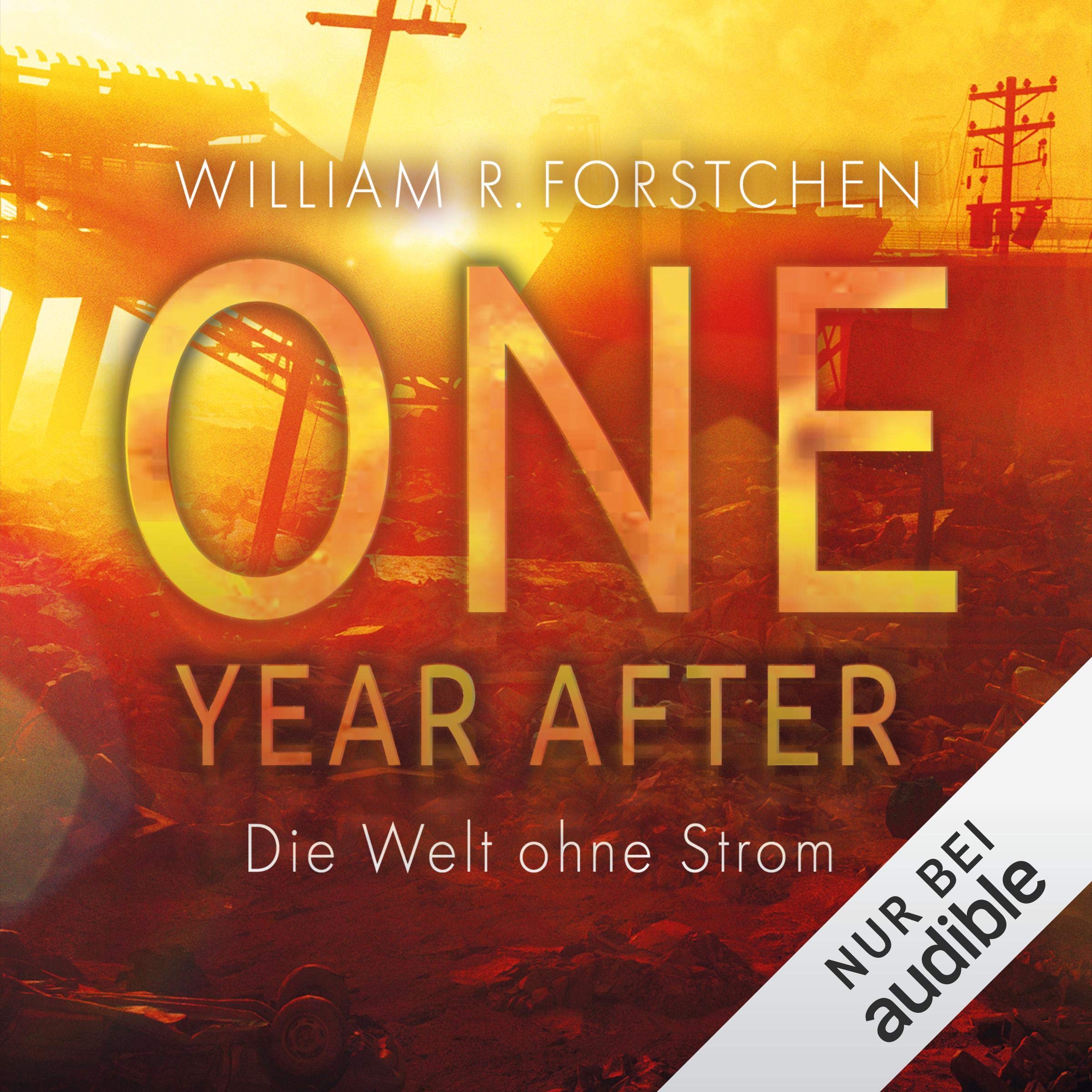 Cover art for One Year After (German edition)