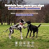 Ver la foto 6