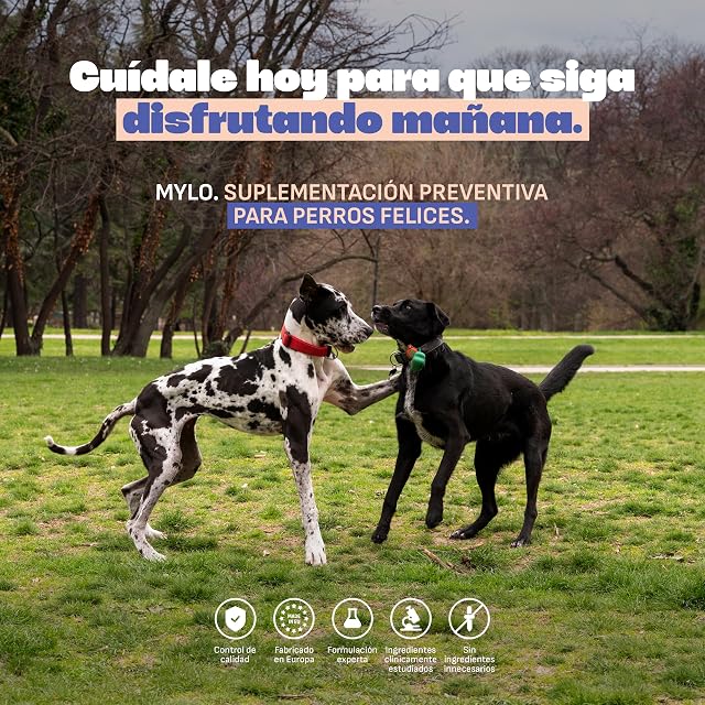 Foto 6 de 7 de Aceite de Salmon Perros Mylo. Omega 3 para Perros 100% Puro con EPA y DHA. Apoyo Articulaciones, Piel