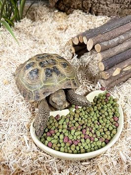 Komodo Complete Holistic Tortoise Diet Fruit and Flower 680 g