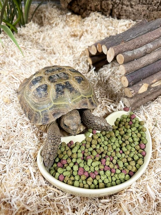 Komodo Complete Holistic Tortoise Diet Fruit and Flower 680 g