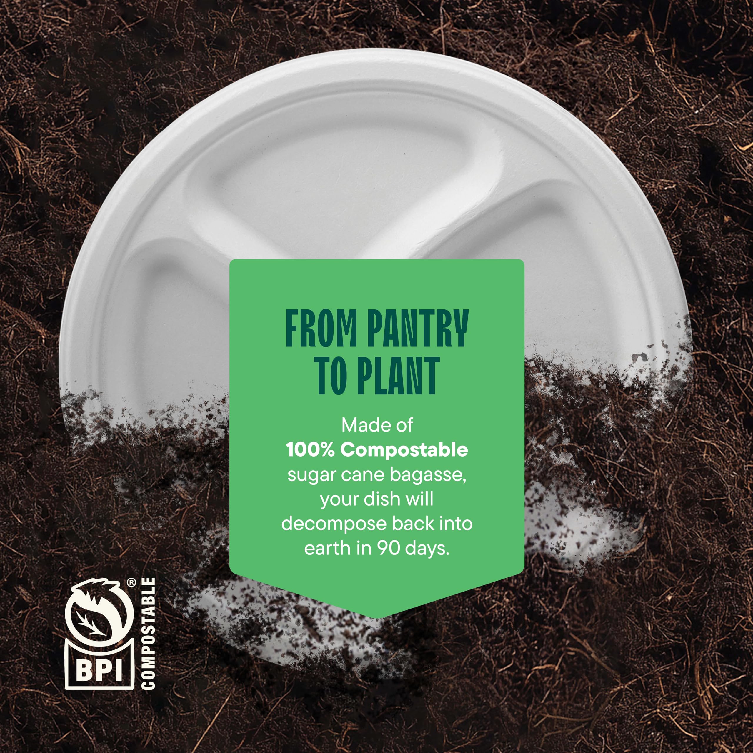 Compostable Paper Plates - 125 Pack, 10 Inch -6