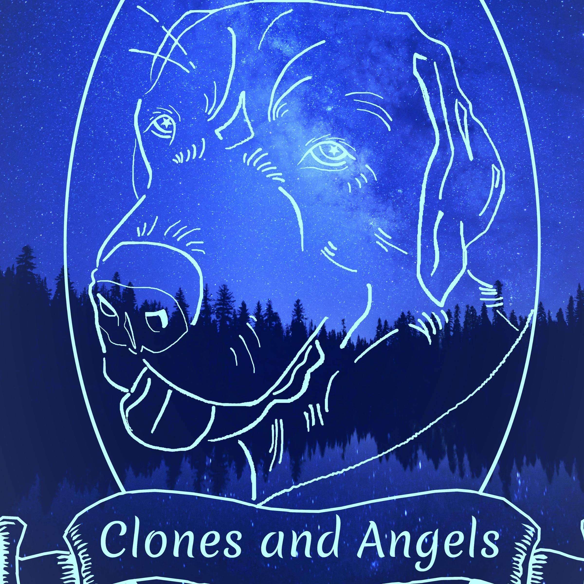 Cover art for Clones and Angels
