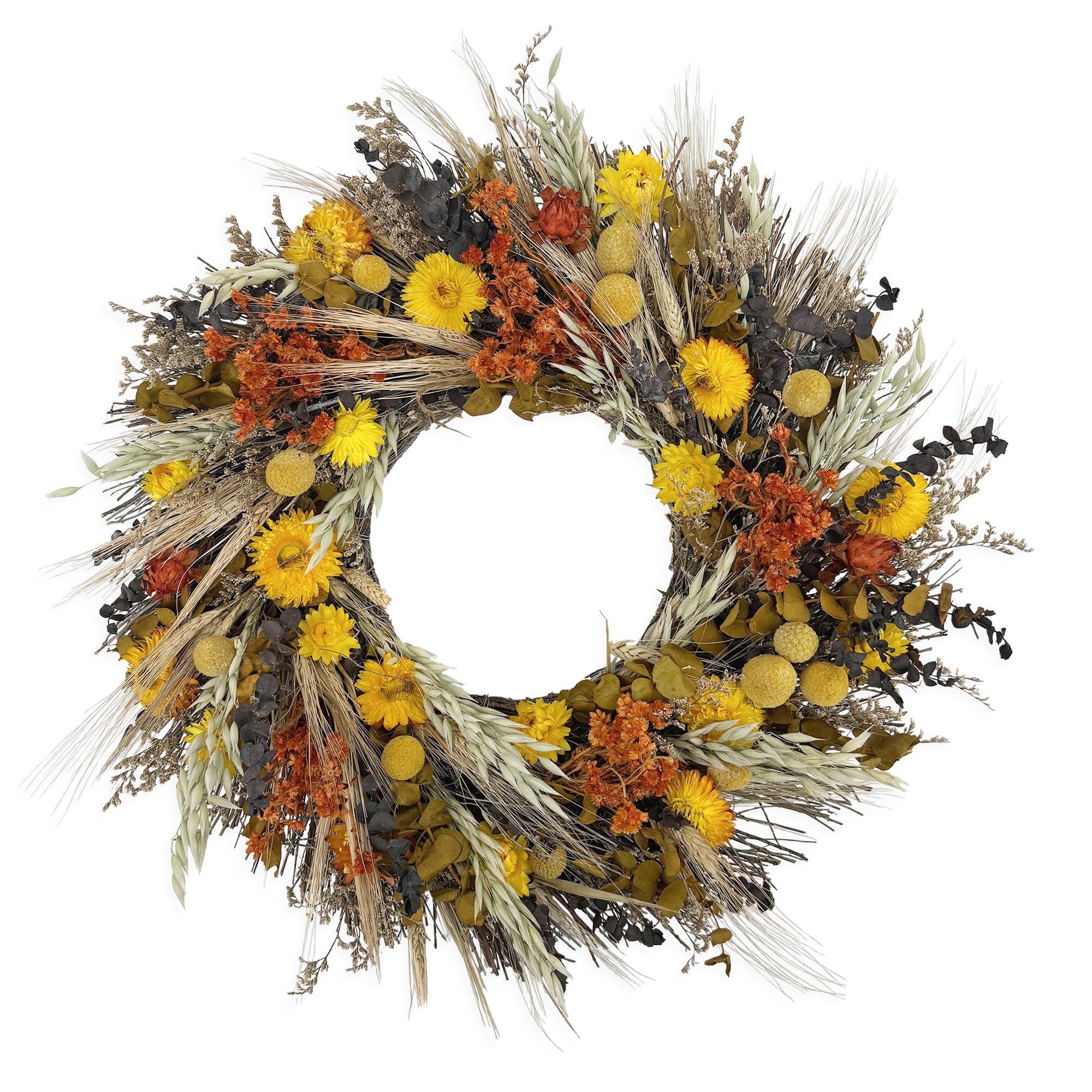 ANDALUCA California Harvest Preserved Wreath