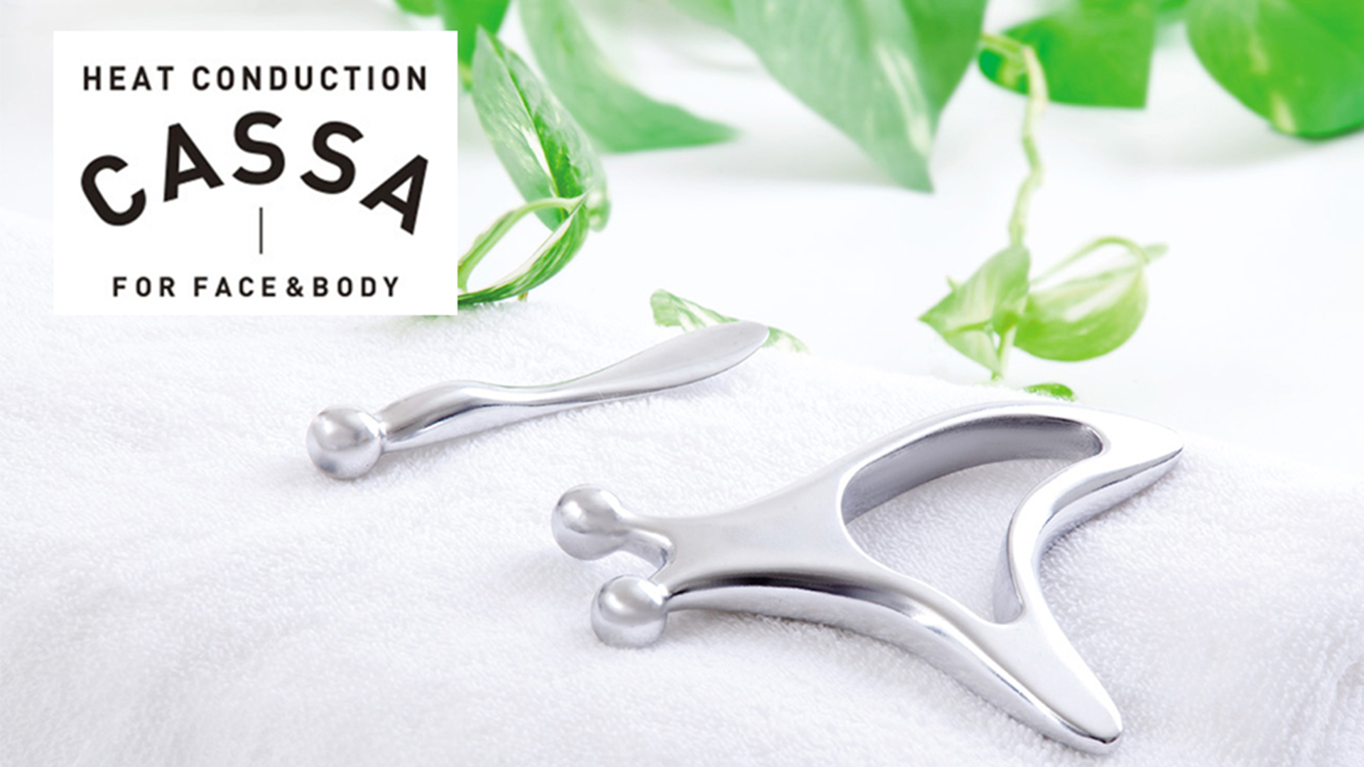 Amazon.co.jp: アルファックス かっさ かっさプレート 顔 頭皮