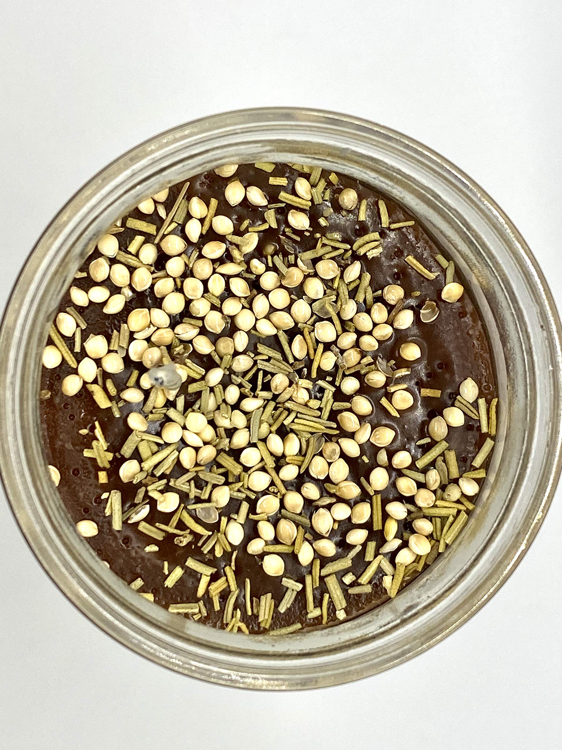 San Benito de Palermo