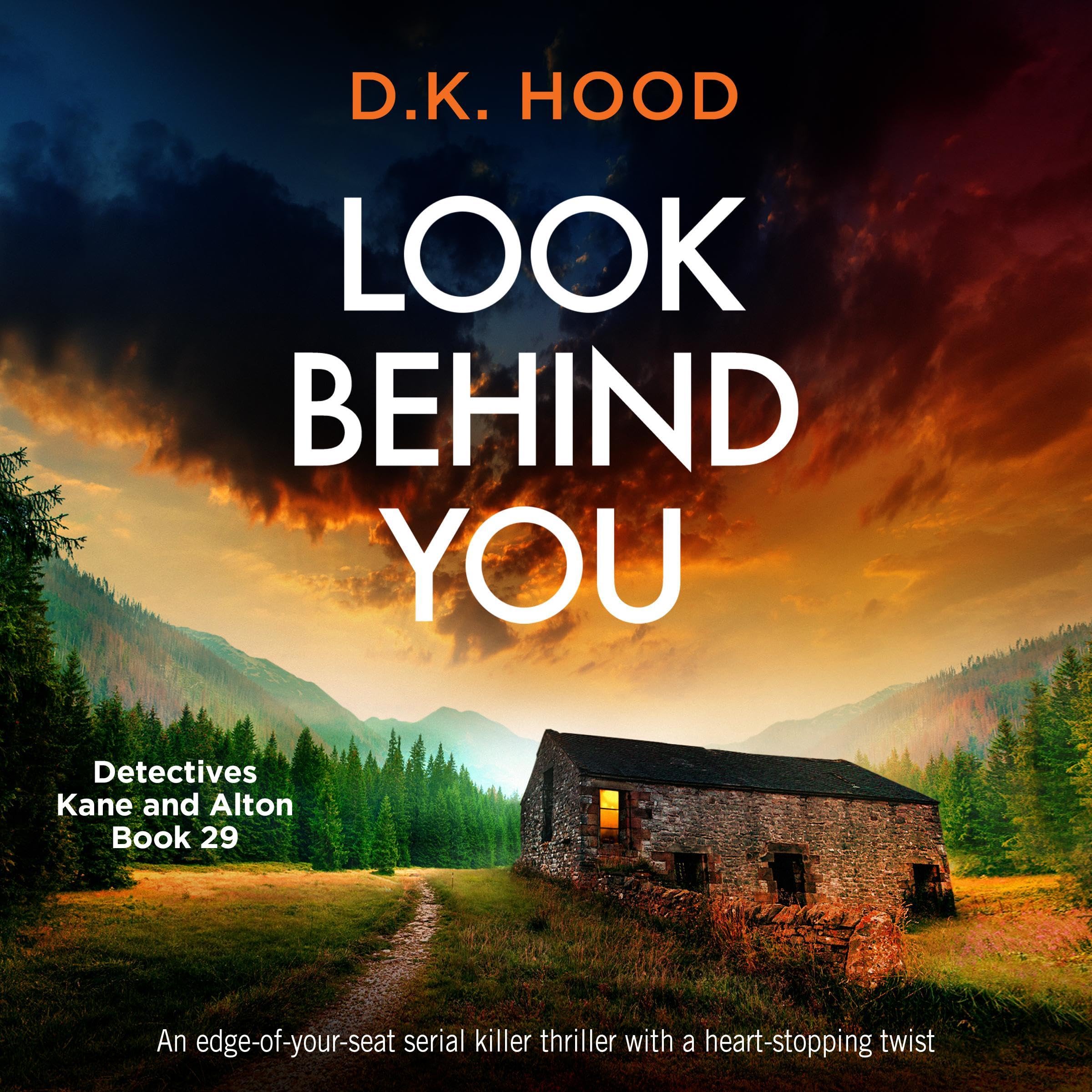 Cover art for Look Behind You