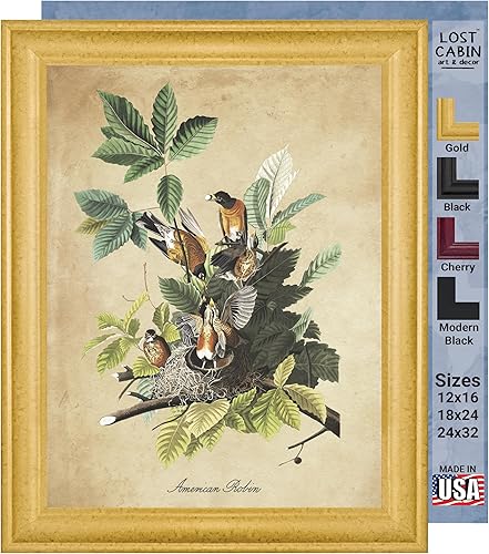 Vista 22 de Towee Bunting by James Audubon - Marco biselado negro de 12 x 16 pulgadas, decoración artística enmarcada para pared, reproducción de pinturas