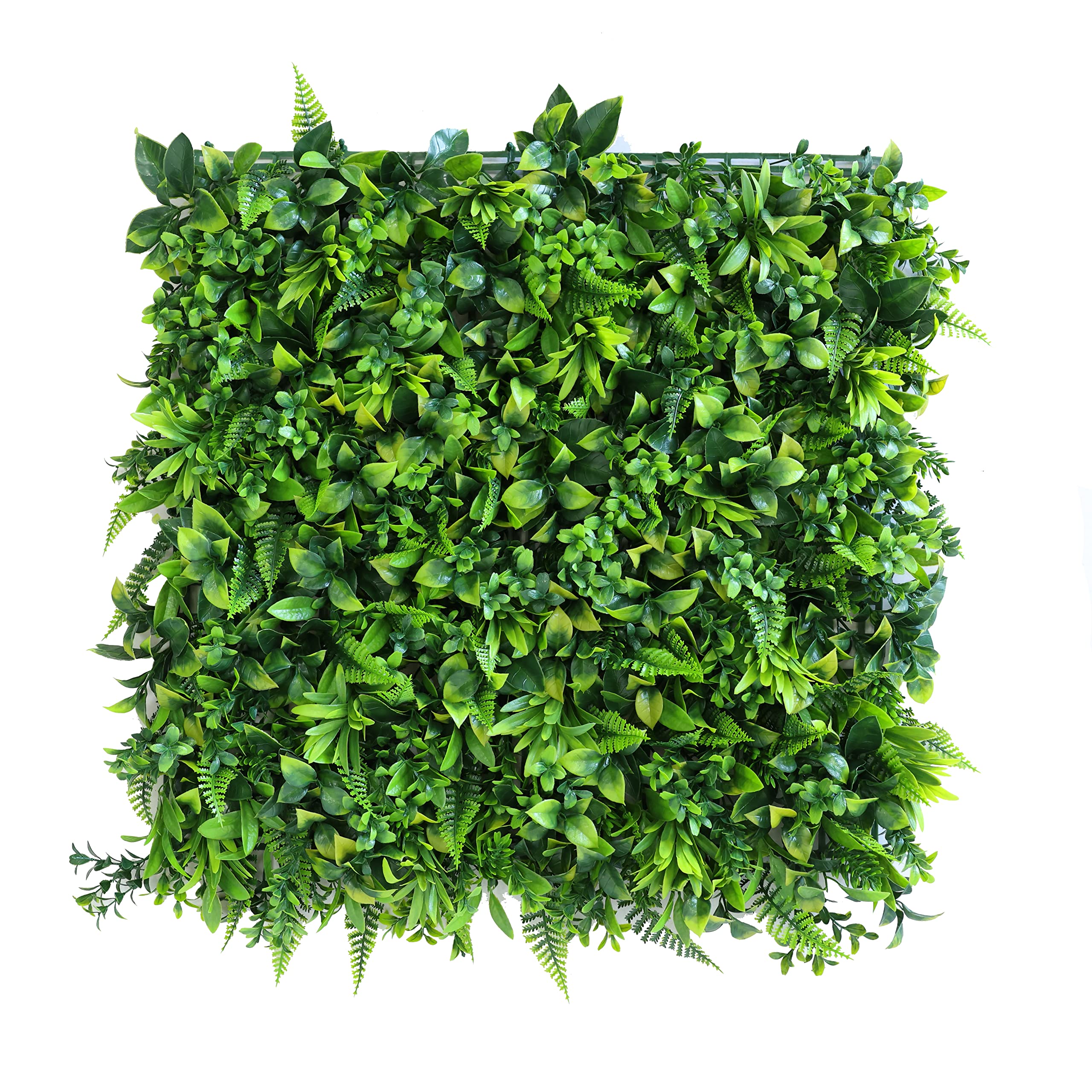 Rackhams Green Premium Artificial Wall Panel 50 X 50Cm - Fern