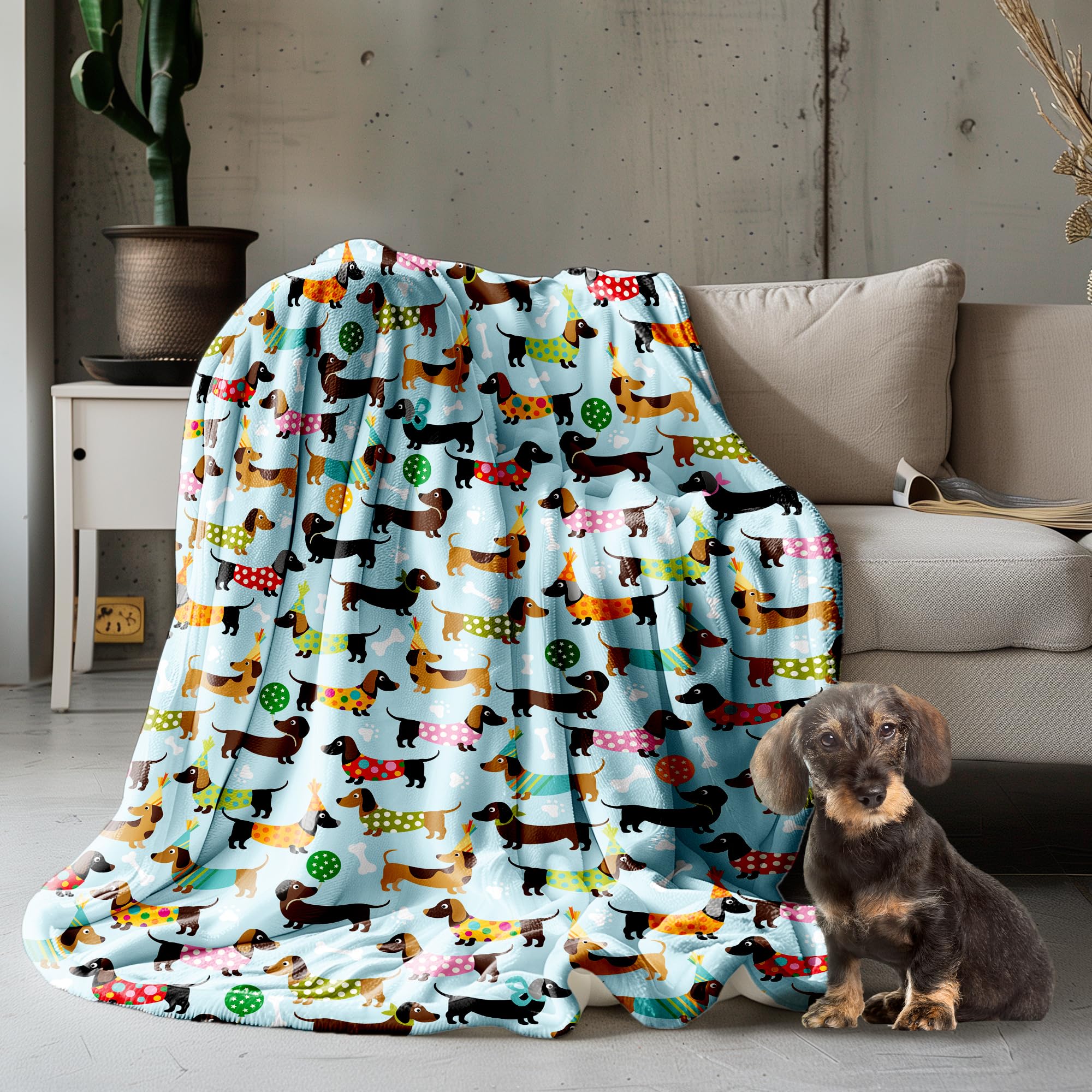 Amazon.com: Dachshund Fleece Flannel Blanket - Cute Wiener Dog
