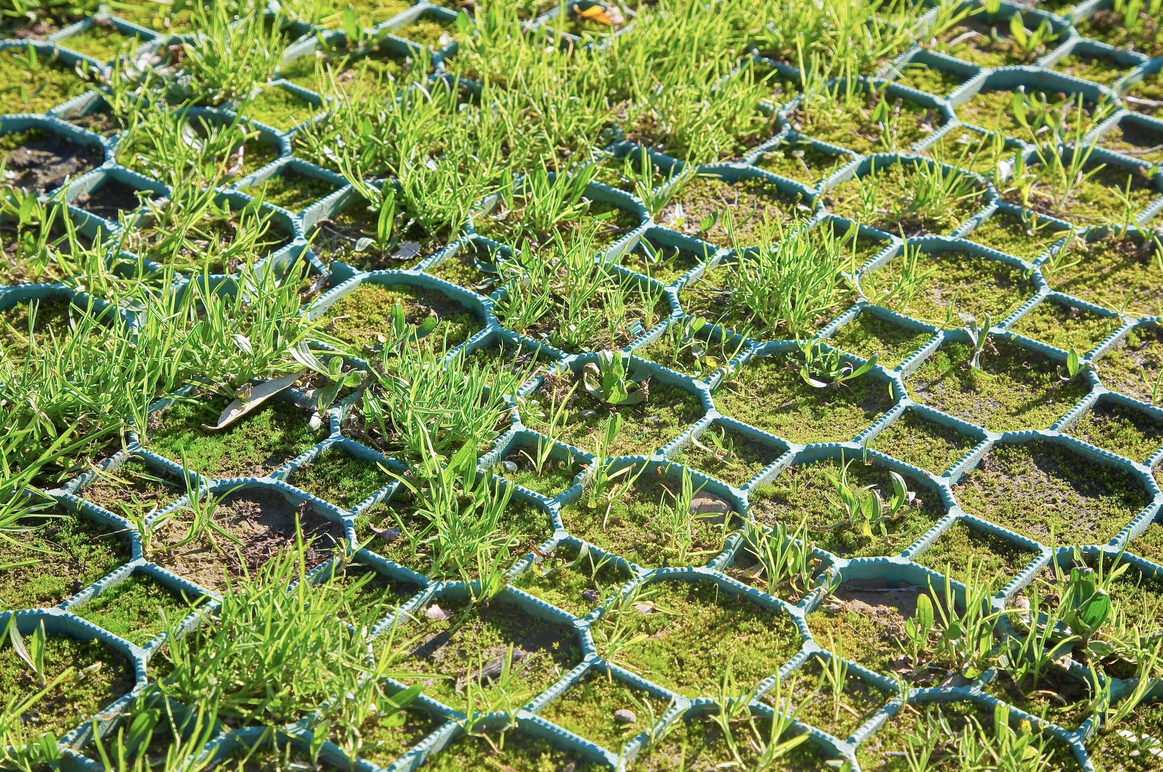 EINSIDE Salvaprato grigliato erboso, Griglia prato HDPE, 7 pezzi (1,1 m²) | Protezione prato carrabile, Resistenza certificata fino a 200 ton/m²