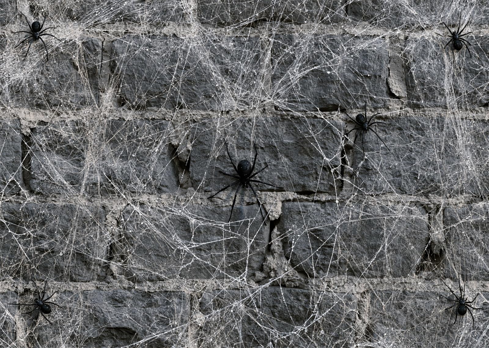 10x8FT (3x2.5m) Pietra Coperta Da Ragnatele Sfondo Fotografico