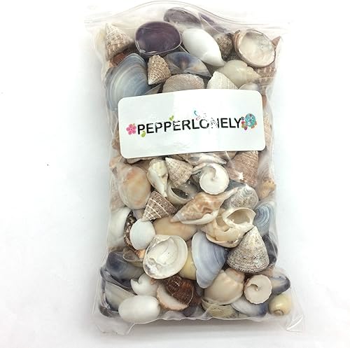 Miniatura 4 de PEPPERLONELY Conchas marinas de mezcla pequeña, muy limpias, 8 oz aprox. 340 carcasas de PC, 12 pulgada  1 pulgada