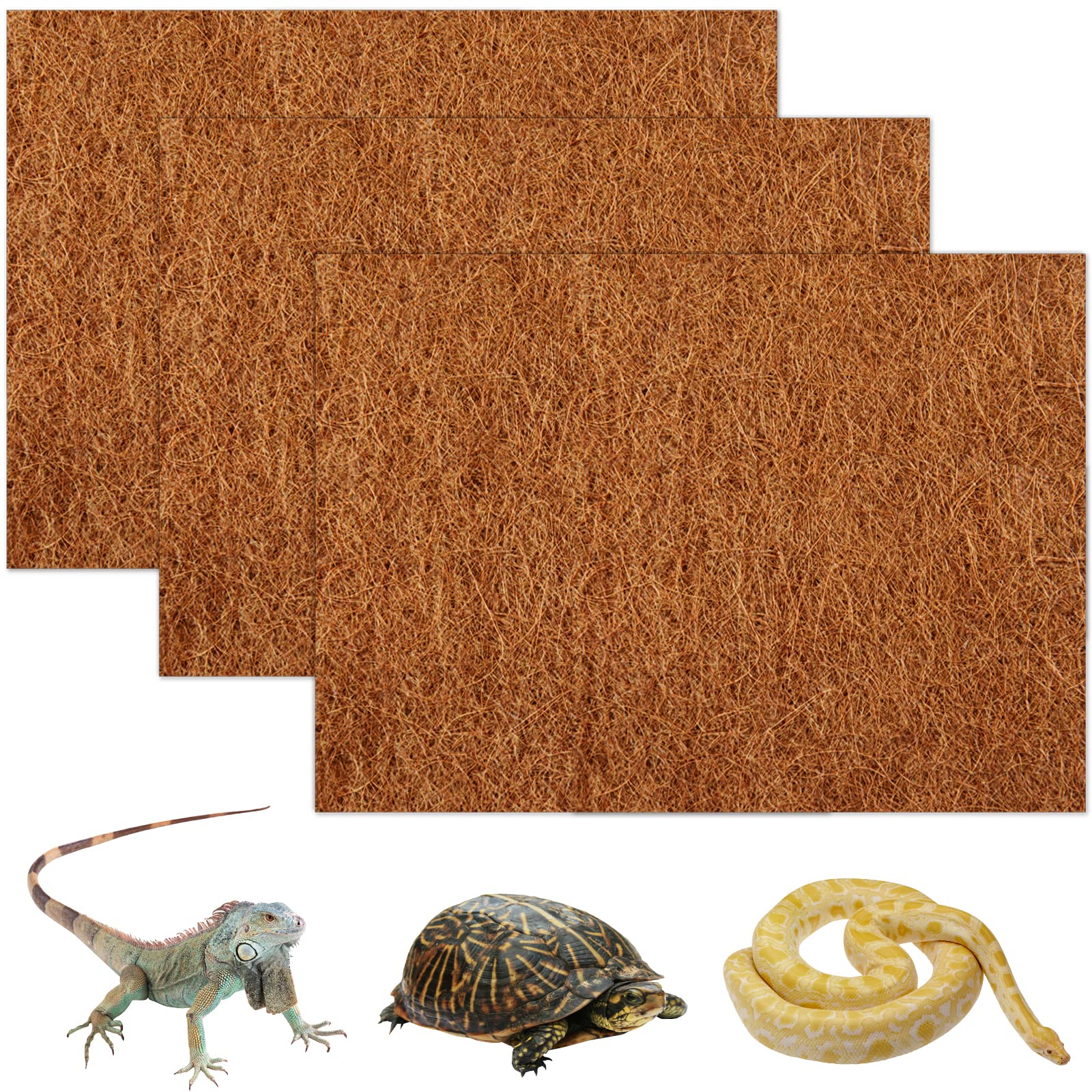 Bearded Dragon Flooring ubicaciondepersonas.cdmx.gob.mx