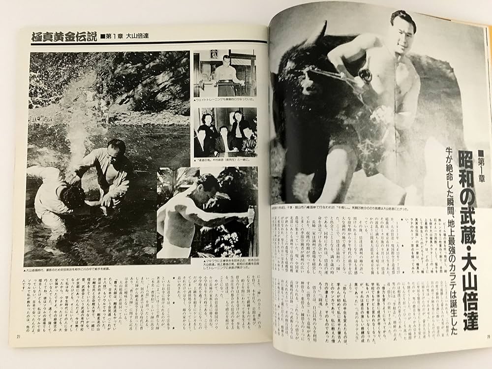 Amazon.co.jp: ゴング格闘技12月号増刊 (バトルシリーズVol.1 極