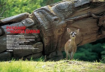 Coyote No.59 星野道夫の遥かなる旅 | 星野 道夫 |本 | 通販 | Amazon Coyote No.59 星野道夫の遥かなる旅 | 星野 道夫 |本 | 通販 | Amazon