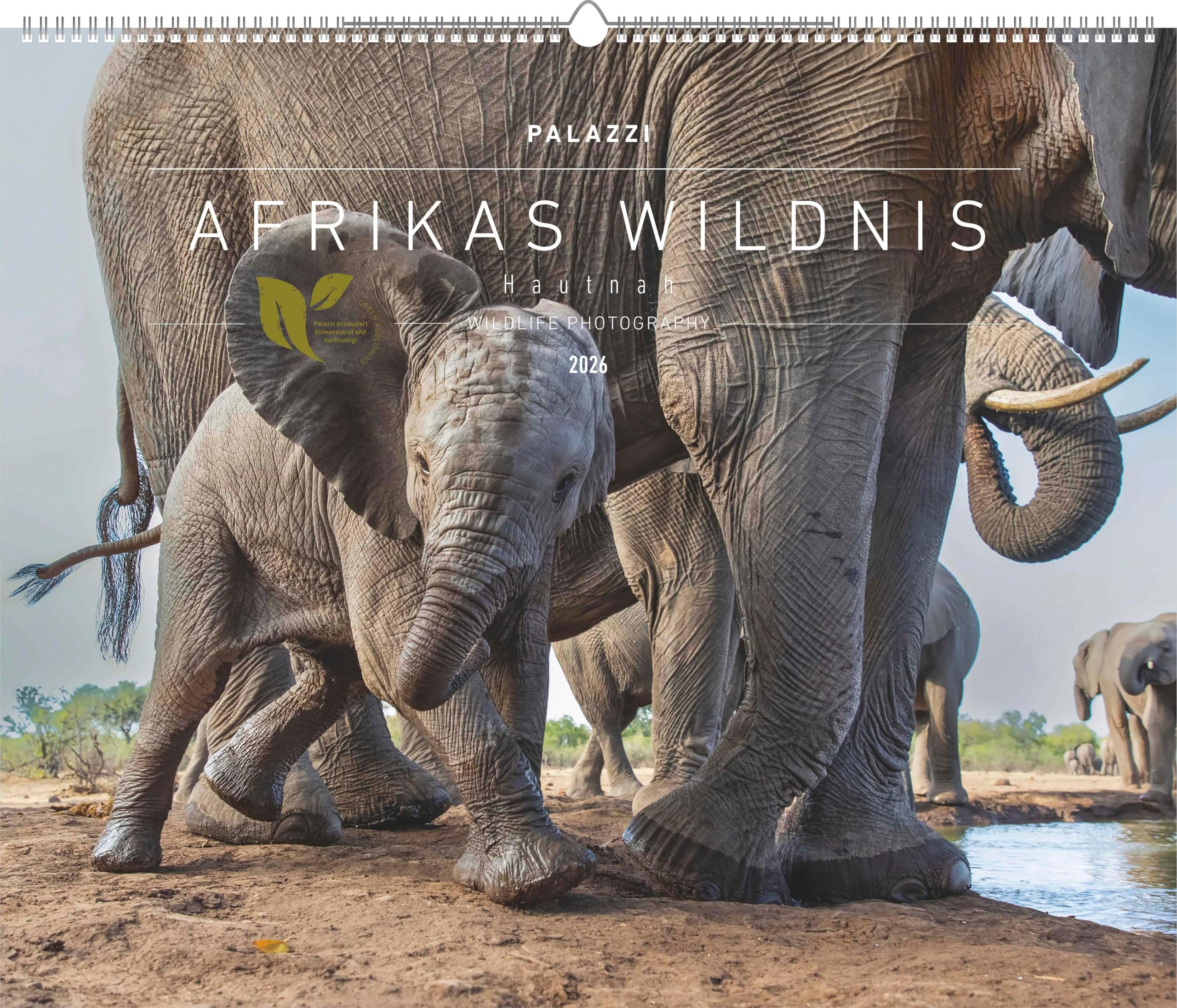 Palazzi - Hautnah - Afrikas Wildnis 2026 - Wandkalender 60×50 cm: 12 Tierfotografien & humorvolle Bilder