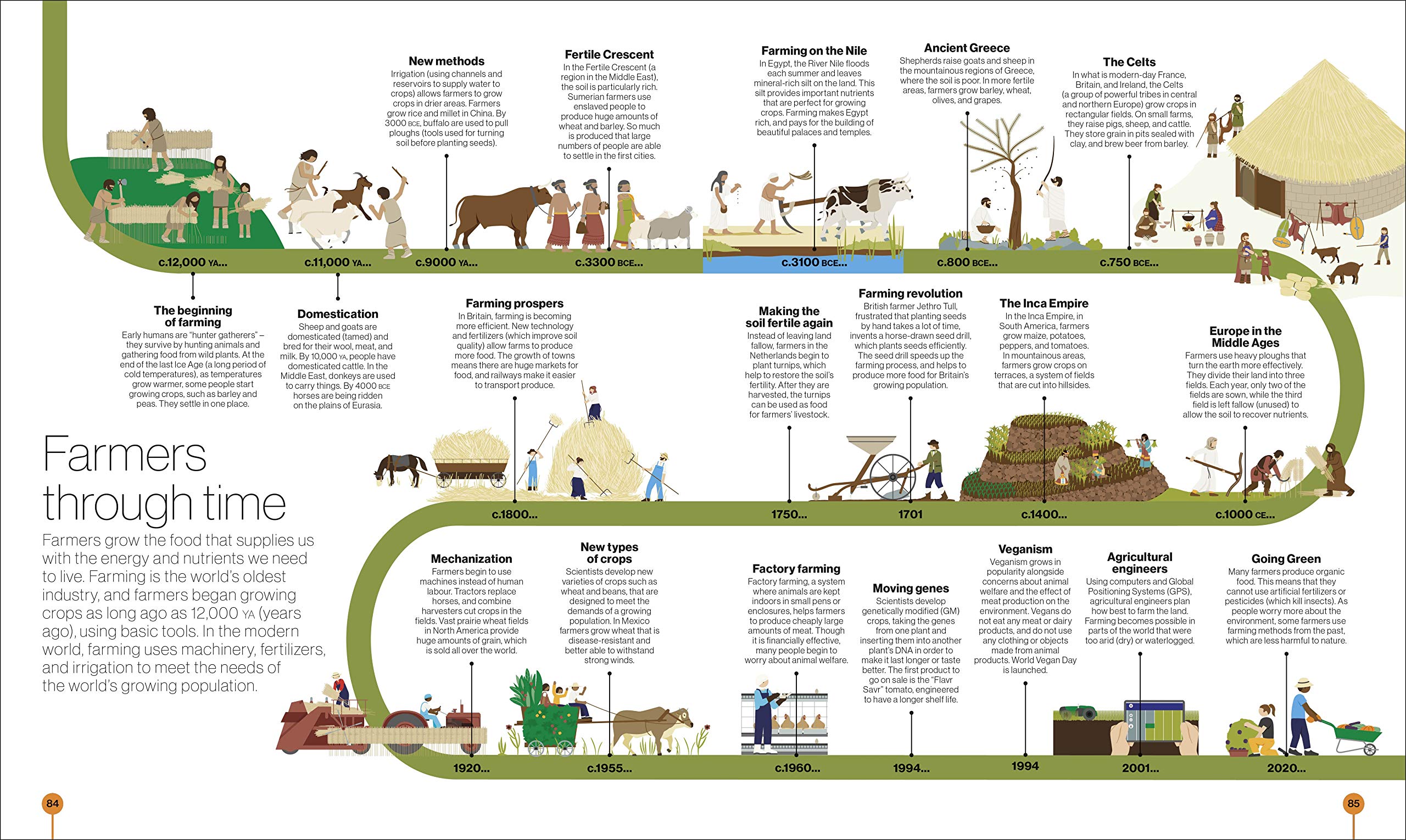 Timelines of Everyone: From Cleopatra and Confucius to Mozart and Malala