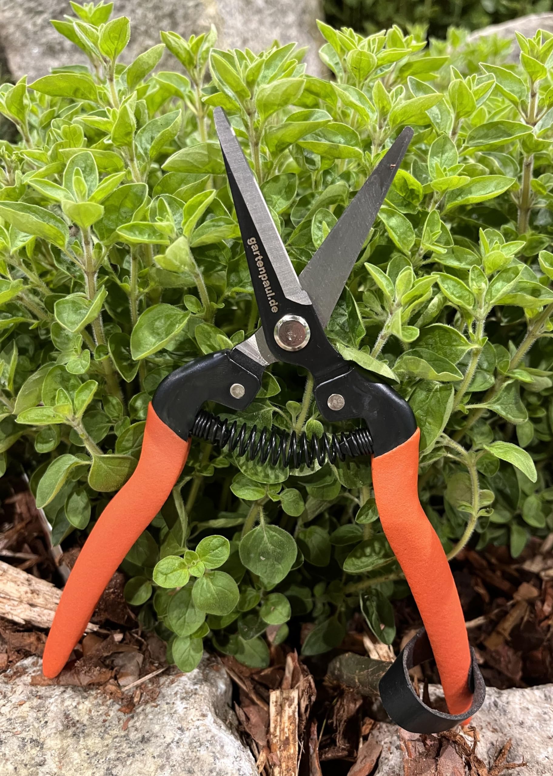 Gartenscheren Set – Ratschengartenschere 2.0 & Blumenschere | Ergonomisch, stark & präzise