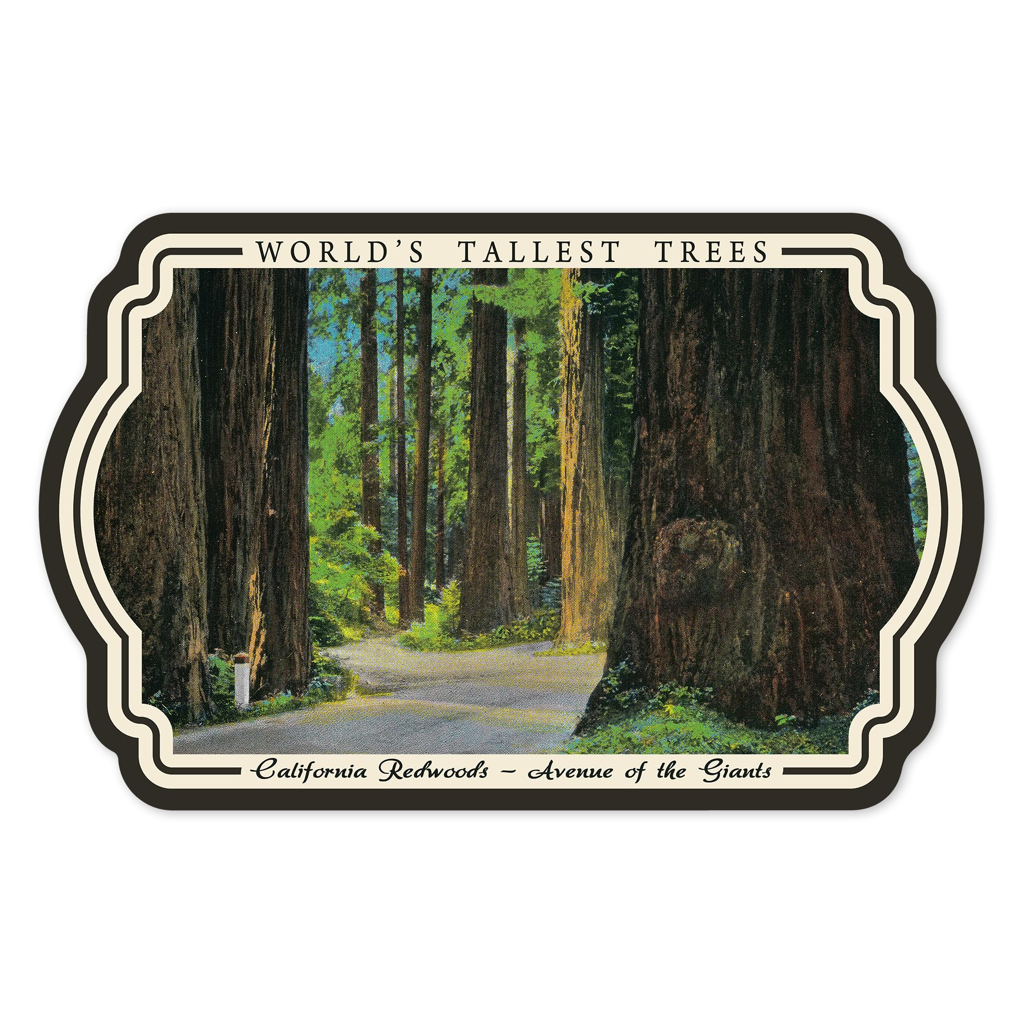 Die Cut Sticker California Redwoods, Avenue of The Giants, Worlds Tallest Trees, Vintage Art Vinyl Sticker, (Waterproof Decal for Cars, Water Bottles,