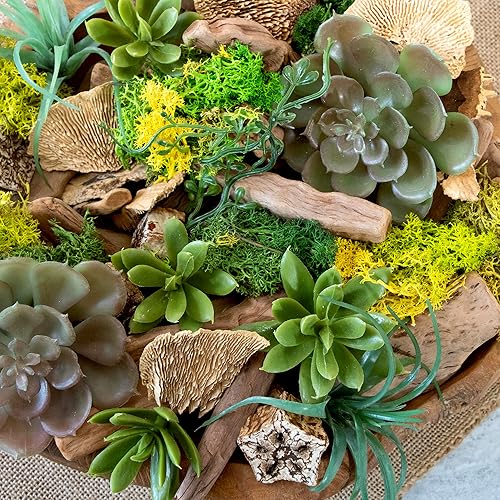 Miniatura 6 de ANDALUCA Popurri con fragancia de musgo, cristal y madera flotante de 20 onzas con aromas de sándalo, musgo, eucalipto y madera de teca, incluye