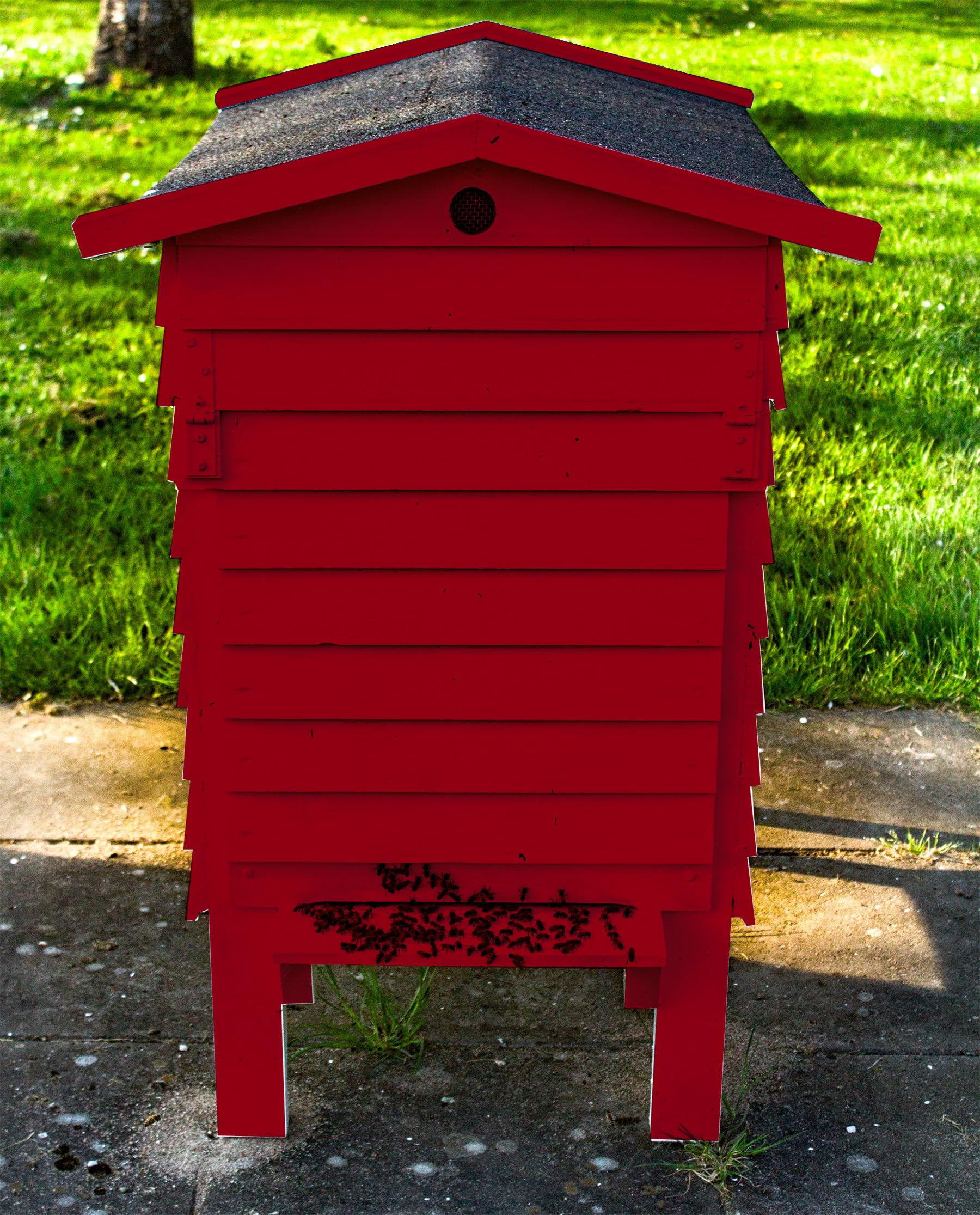 Peinture ruche apiculture naturelle Natura - 1L, Bordeaux