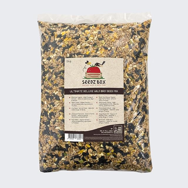 Bird Food Seed Feed Mix For Small Wild Garden Birds 2kg - SeedzBox Deluxe Grain & Nut Blend - Natural Food For Robins Blackbirds Sparrows - Millet Peanut Fats and Fibres