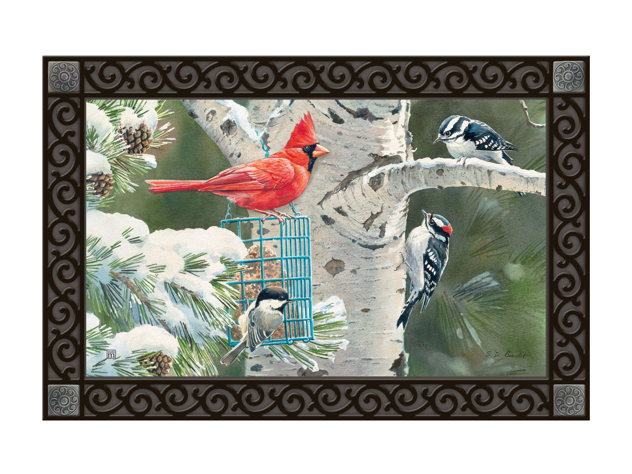 Studio MAll Weather Interchangeable Doormat Insert - 30x18 Inch Eco-Friendly Recycled Rubber Backing - Winter Birds