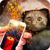 Stunned pet joke! With these firecrackers you can play and be sure that someone is not no harm!