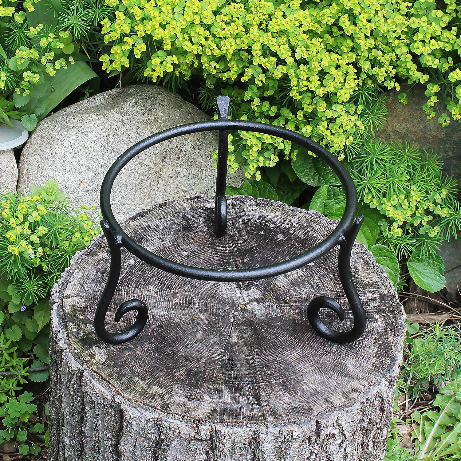 Amazon.com : Achla Designs GBS-22 Short Wrought Iron Metal Plant