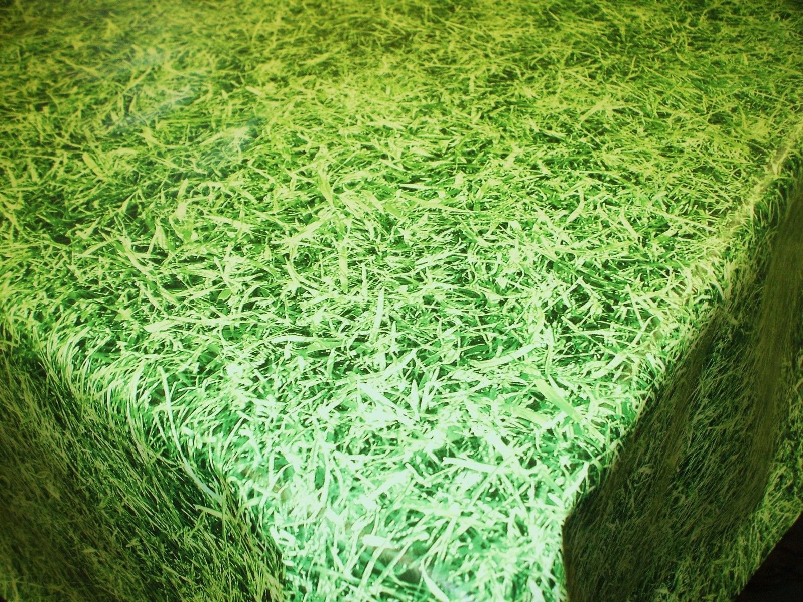 Karina Home Grass PVC Vinyl Wipe Clean Tablecloth (Green, 200cm x 140cm)