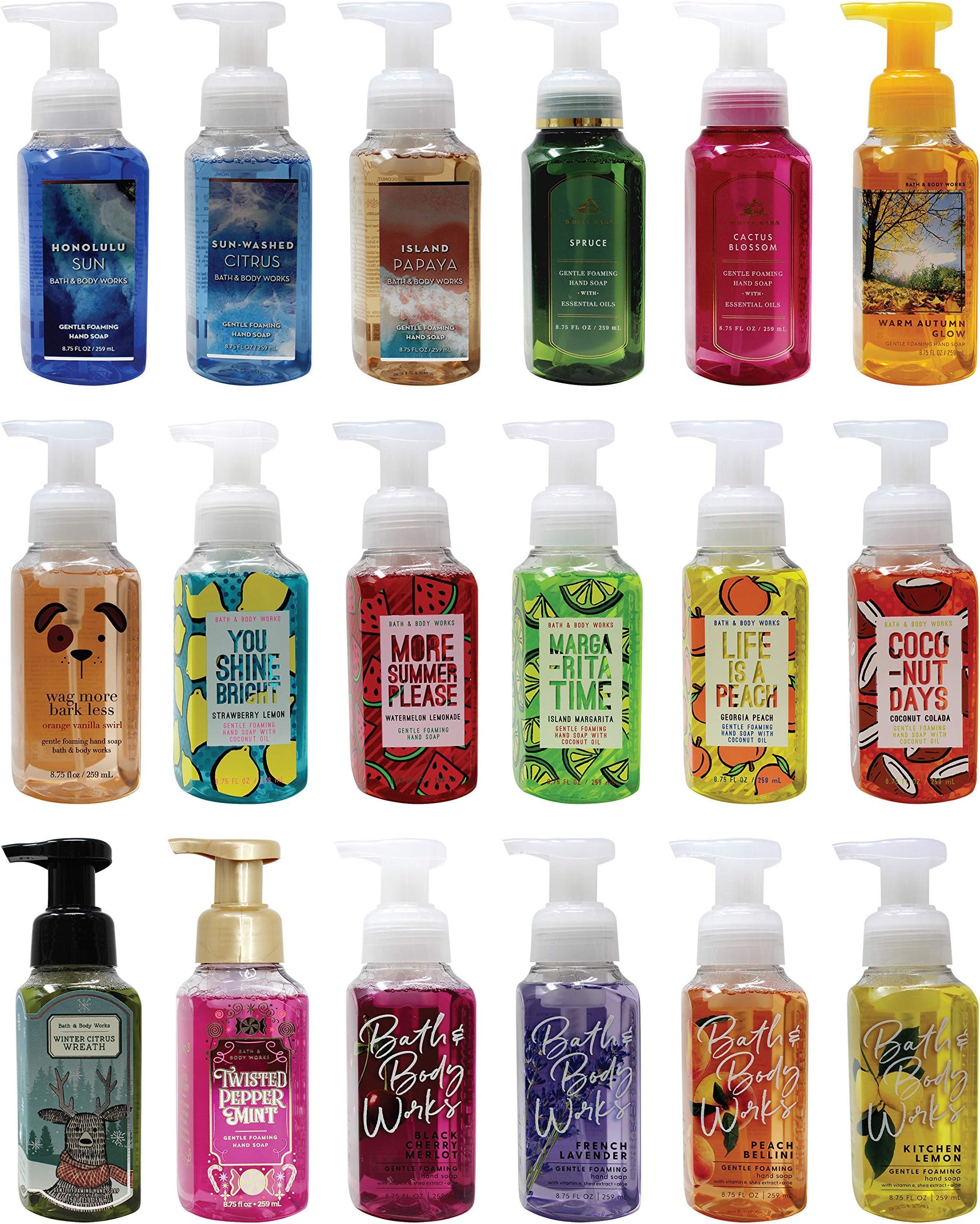 Assorted 5 Pack Gentle Foaming Hand Soap