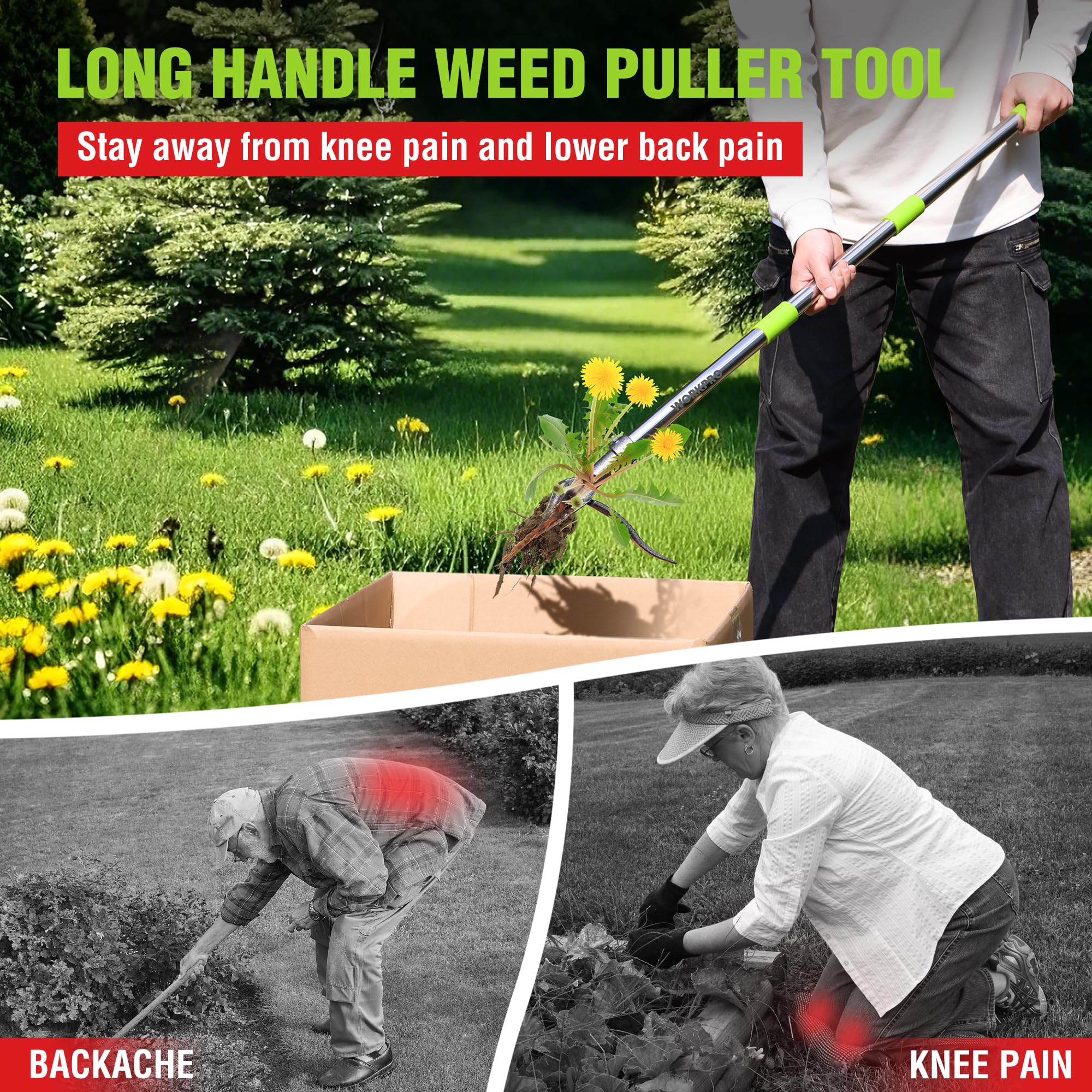 WORKPRO Weed Puller - Effortless Weed Removal -7