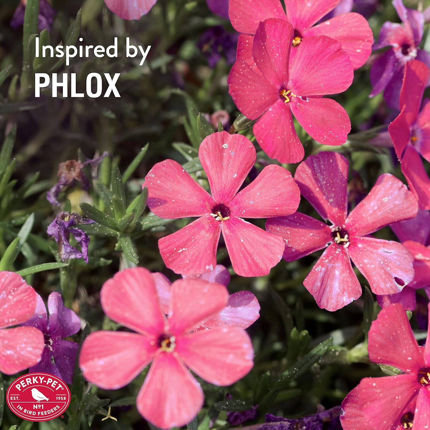 Perky-Pet 92PF Replacement Pink Phlox Flower Feeding Ports and Perches - 6 Pack