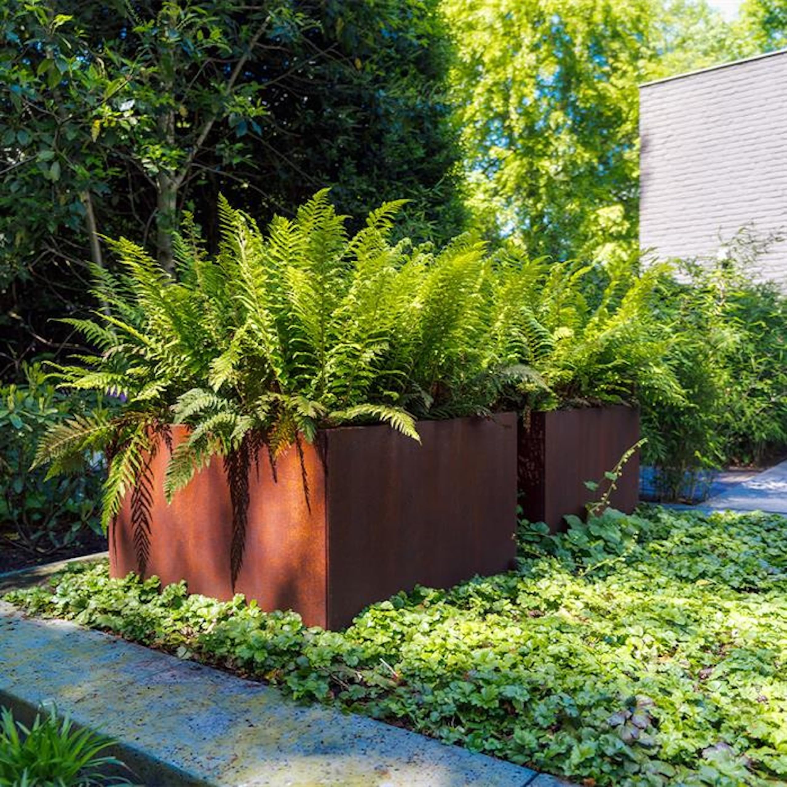 Adezz Carrez Connect ohne Boden aus Corten-Stahl Pflanzgefäß Pflanzkübel 600x600x600 mm