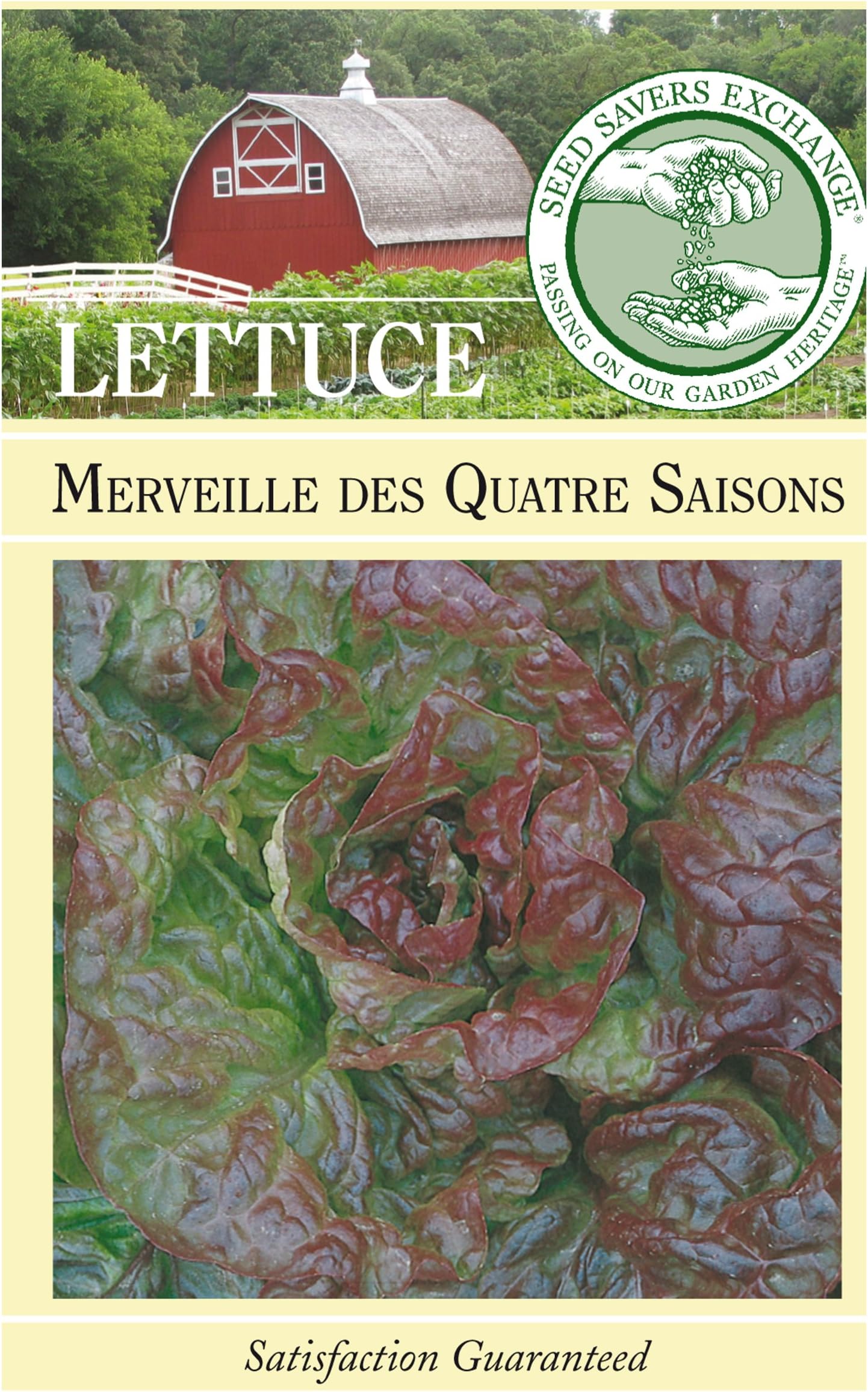 Seed Savers Exchange 0220 Open-pollinated Lettuce Seed, Merveille des Quatre Saisons, 250 Seed Packet