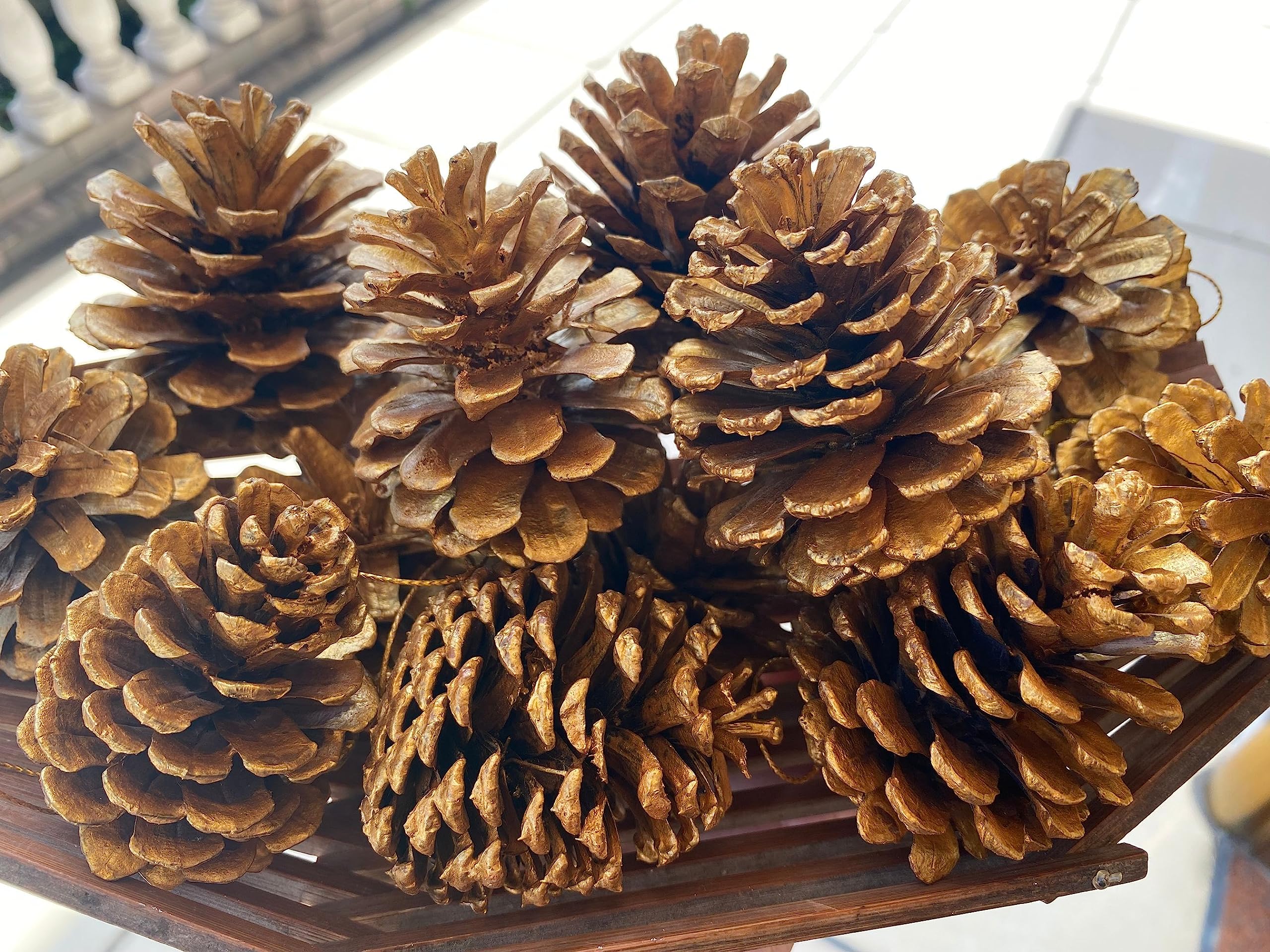 55 Piñas Naturales Para Decoración Navideña Y DIY – Variedad De Tamaños (2-12 Cm), Ideal Para Navidad, Acción De Gracias Y Manualidades