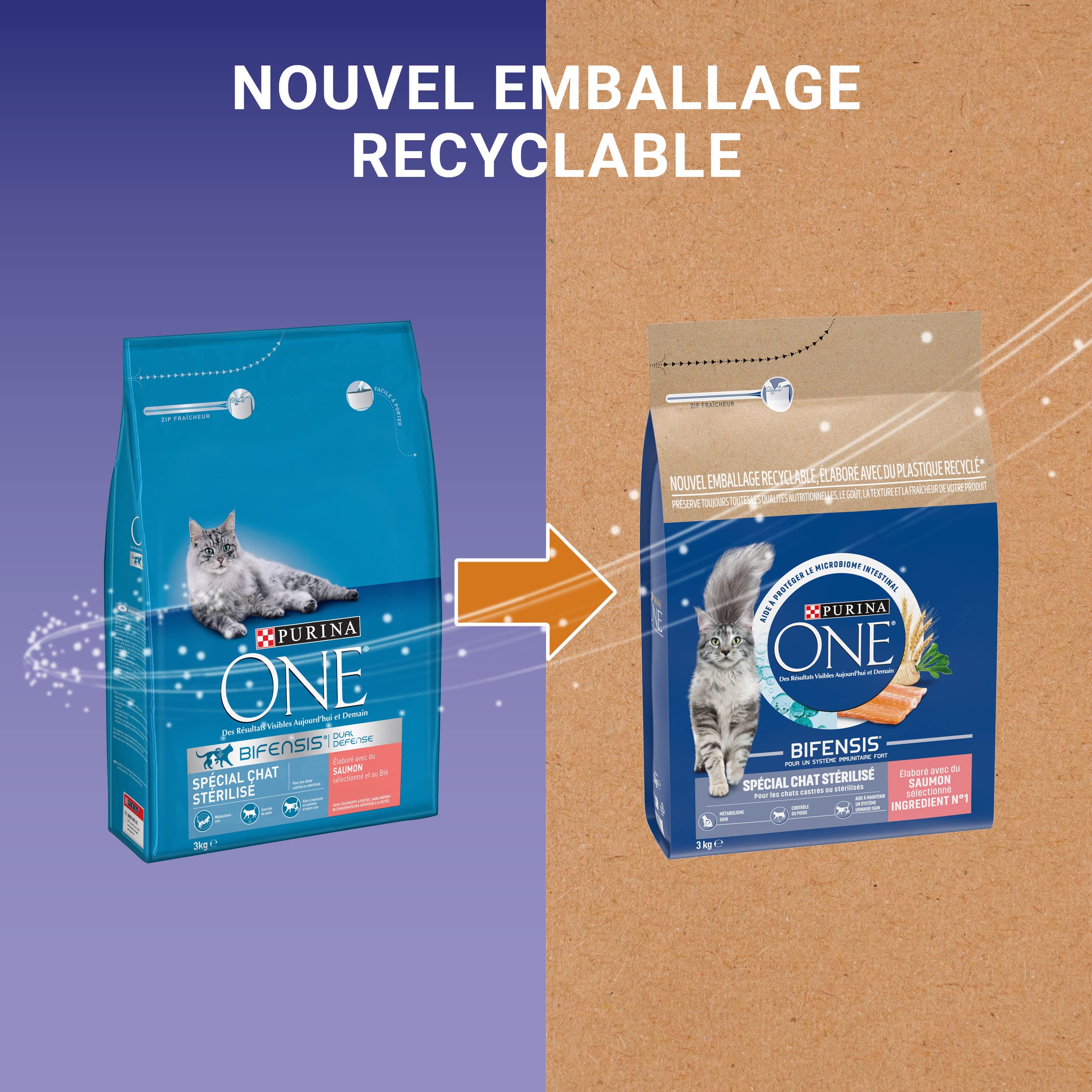 Purina One Speciale Gatto Sterilizzato Salmone 3 kg